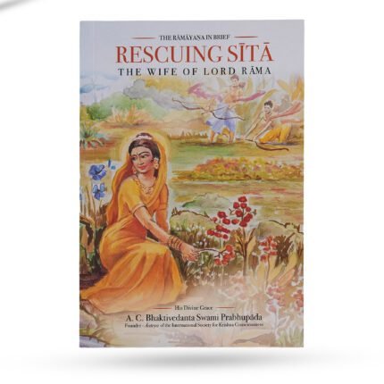 Rescuing Sita book cover showing Sita and Lord Rama Ramayana illustration